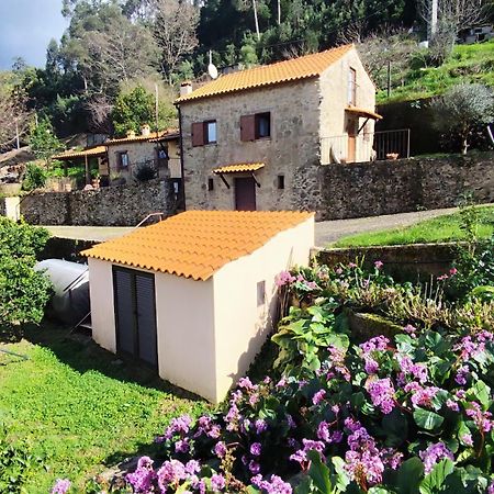 Quinta Da Costeira Villa Sever do Vouga Exterior photo