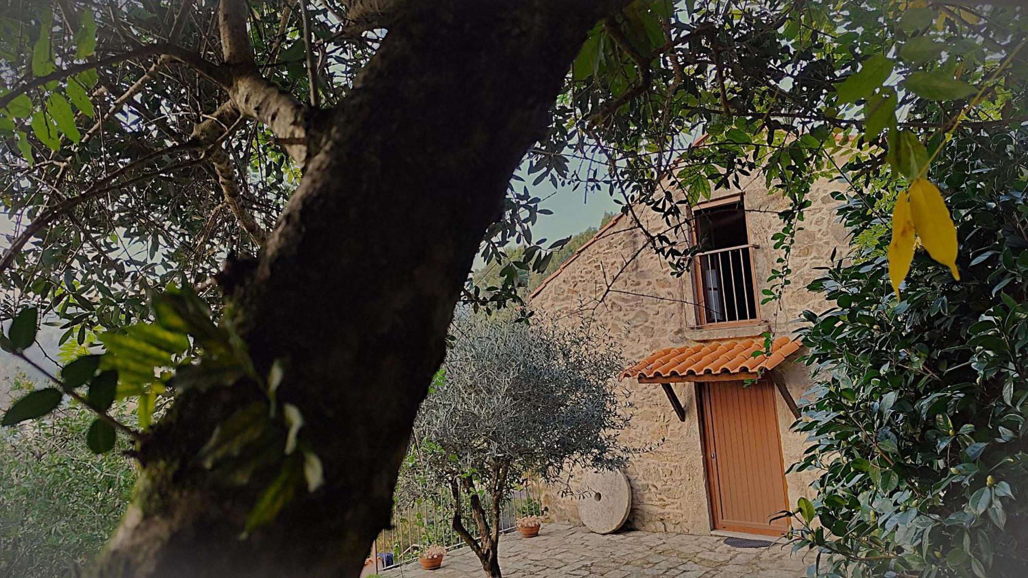 Quinta Da Costeira Villa Sever do Vouga Exterior photo