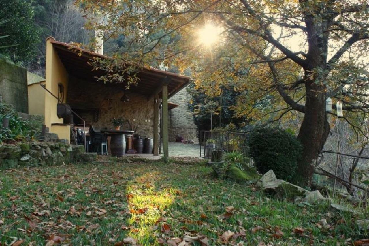 Quinta Da Costeira Villa Sever do Vouga Exterior photo