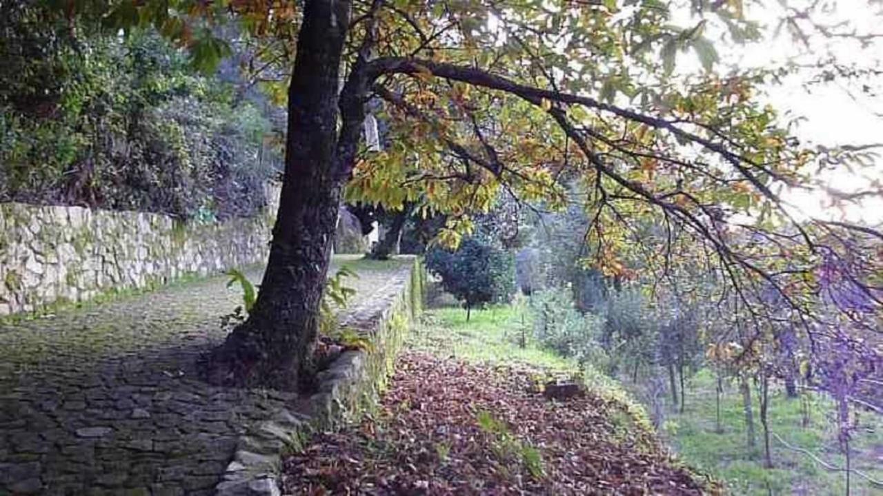 Quinta Da Costeira Villa Sever do Vouga Exterior photo